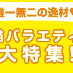 【 猫バラエティ特集 】8/8現在在店中の全店舗のバラエティ猫ちゃんをご紹介！