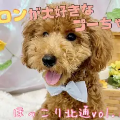 【 ほっこり北通Vol.105 】プーちゃんの大好きな場所