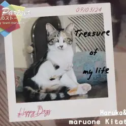 【 ファーストパートナー 】マルワン北戸田店スタッフさとちゃんの愛猫物語