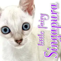 【 シンガプーラ 】猫界最小は美しい妖精！甘えん坊で右に出るものナシ！
