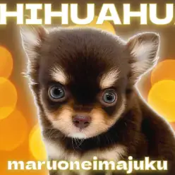 【 チワワ 】大人気チョコタンカラー！イケメンフェイスと甘えん坊な性格は必見！