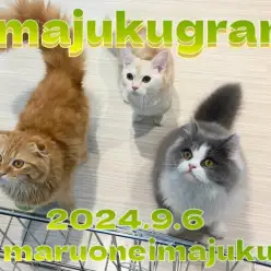 【 イマジュクグラム 】第二弾!多頭ライフができちゃうイケニャンたちに密着!