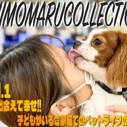 【 シモマルコレクション 】君がいて幸せ！お子様がいるご家庭での犬との接し方