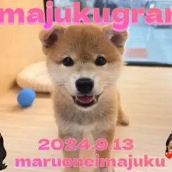 【 イマジュクグラム 】柴スマイルは究極の癒し！甘えん坊男子の最新動画公開！