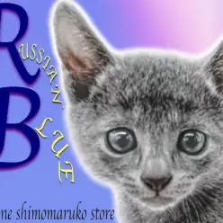 【 ロシアンブルー 】容姿はクールに心はホットに！甘えん坊のイケメン猫はいかが？