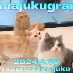 【 イマジュクグラム 】第三弾!TEAM仲良しのVIPルームでの最新動画をお届け