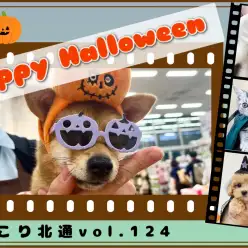 【 ほっこり北通Vol.124 】マルワン北戸田店のハロウィンday！