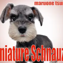 【 ミニチュアシュナウザー 】従順であり愛情深くとても親しみやすい女の子!