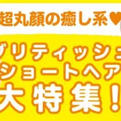 【 ブリティッシュショートヘア特集 】10/17現在在店中の癒し系！最新動画付き