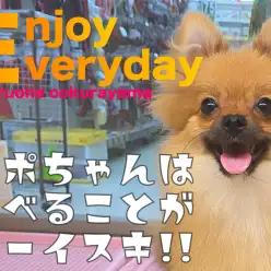【 ポメラニアン 】ごはん大好き！ポポちゃんの食事に関して！