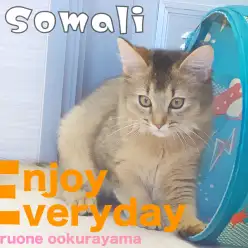 【 ソマリ 】ワクチンプログラム完了！！楽しいプレイルームデビュー！