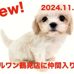 【 MIX 】新たに仲間入り!通称マルキャバちゃんの女の子!!