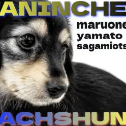 【 カニンヘンダックスフント 】明るく陽気な女の子！愛され要素も満載な短足犬！