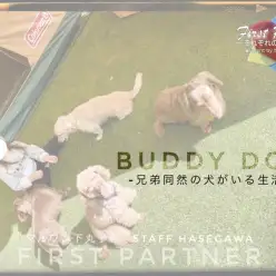 【 ファーストパートナー 】マルワン下丸子店スタッフ長谷川と娘の相棒物語！