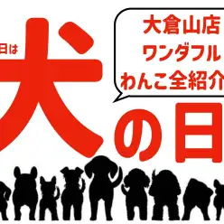 【 犬の日 】11月1日は犬の日！大倉山店のワンダフルわんこをご紹介！！