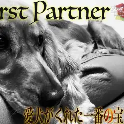 【 ファーストパートナー 】マルワン大和相模大塚店スタッフ山部の愛犬物語！