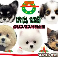 【 武蔵浦和店イベント告知 】お店に来店してプレゼントをもらっちゃおう！