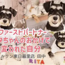 【 ファーストパートナー 】マルワン東日暮里店スタッフ田中の1番の推しをご紹介！