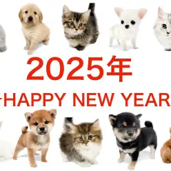 【 新年のご挨拶 】大倉山店より本年もどうぞよろしくお願いいたします！