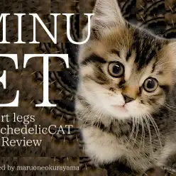 【 ミヌエット 】クールに見えて超甘えっ子！ギャップにやられる短足BOY！