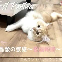 【 ファーストパートナー 】マルワン城山店スタッフ金子の愛猫物語！