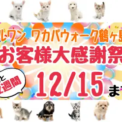 【 お知らせ 】残り2週間！マルワン大感謝際！鶴ヶ島っ子紹介