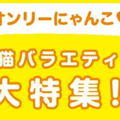 【 猫バラエティ特集 】1/30現在在店中のオンリーにゃんこ！最新動画付き！