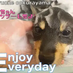 【 黒豆柴 】ドッキドキ初めてのシャンプー体験を豆柴ちゃんがレビュー！！