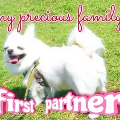 【 ファーストパートナー 】マルワン下丸子店スタッフゆきの愛犬物語！