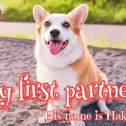 【 ファーストパートナー 】マルワン横浜大倉山店スタッフみぽの愛犬物語！