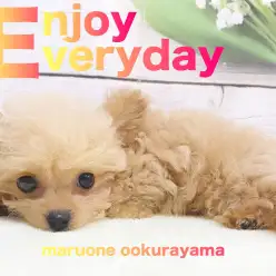 【 MIX 】可愛いの進化が止まらない！違った表情が2倍楽しめるチワプーちゃん！