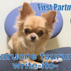 【 ファーストパートナー 】マルワン横浜鶴見店スタッフ伊藤の愛犬物語！