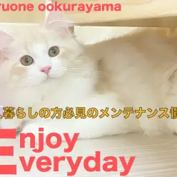 【 サイベリアン 】一人で出来る！一人暮らしの方必見のメンテナンス慣れ！