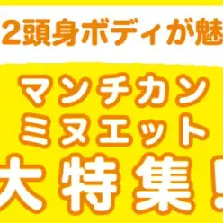 【 マンチカン・ミヌエット特集 】3/6現在在店中の短足にゃんこ！最新動画付き！
