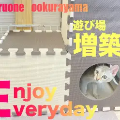 【 シンガプーラ 】遊び場増築中！！ジョイントマットで猫ハウス！