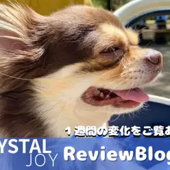 【 お知らせ 】スタッフ石原の商品レビュー！CRYSTALJOYで歯を真っ白に！
