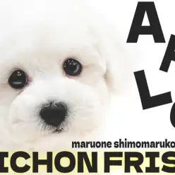 【 ビションフリーゼ 】毛量たっぷりのコロンとしたフォルムが愛らしいアフロ犬男子