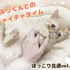 【 ほっこり北通vol.139 】エキゾチックくんと幸せすぎるイチャイチャタイム