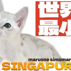 【 シンガプーラ 】小さな体に秘めた大きな愛!ウルトラ甘えん坊な男の子