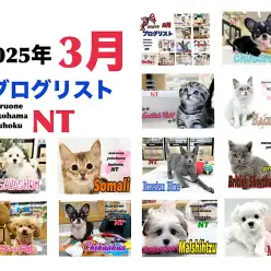 【 ブログリスト 】マルワン横浜 港北NT店3月のブログ記事まとめ