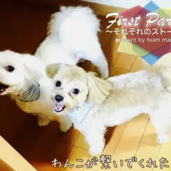 【 ファーストパートナー 】マルワン横浜港北NT店スタッフ三國の愛犬物語！