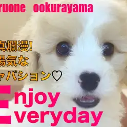 【 MIX 】超フレンドリー！超陽気！！ニコニコ笑顔が素敵なキャバション！