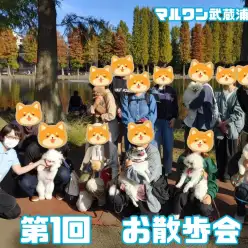 【 しつけ個別相談会 】愛犬との絆の結び方レクチャーとお悩み相談！お散歩編