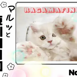 【 マルっと東川口日和No.15 】気づけば虜に、注目度急上昇のラガマフィン