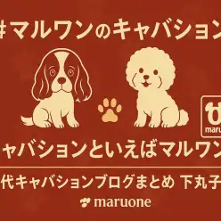 【 まとめ 】キャバションといえばマルワン！下丸子店歴代キャバションの記事紹介