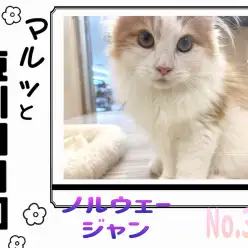 【 マルっと東川口日和No.37 】ノルくんの毎日ルーティンに密着!