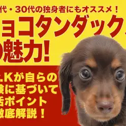 【 ミニチュアダックス 】20〜30代の独身者にオススメ！究極の相棒犬はこの子！