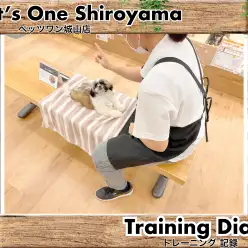 【 城山トレーニングダイアリー 】シーズーちゃん初めてのトレーニング