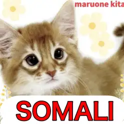 【 ソマリ 】才色兼備で魅力満載な小さな天使！ソマリの女の子入店！