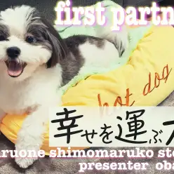 【 ファーストパートナー 】マルワン下丸子店スタッフ小原の愛犬物語!